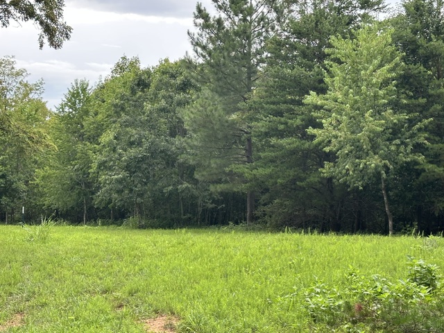 Frisbee Golf Course